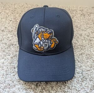 NWOT Midland Rockhounds Adjustable Baseball Hat